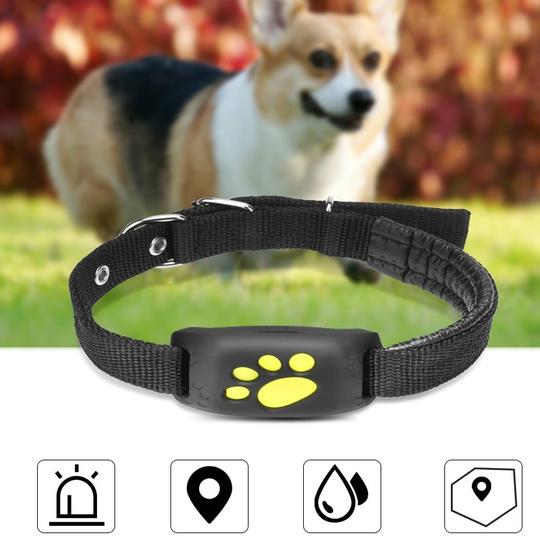 gps pet tracker