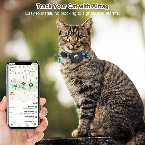 airtag pet collar