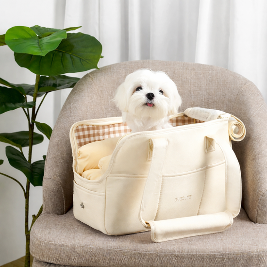 small dog carrier bag