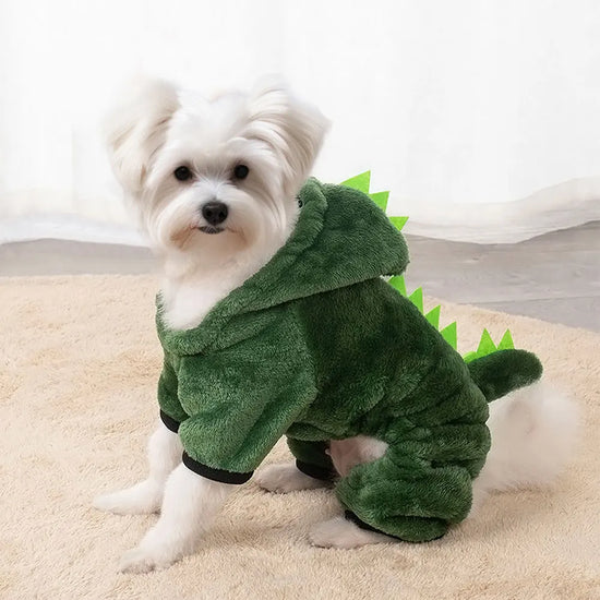 Cute Dinosaur Sweater