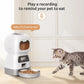 timed pet feeding machine
